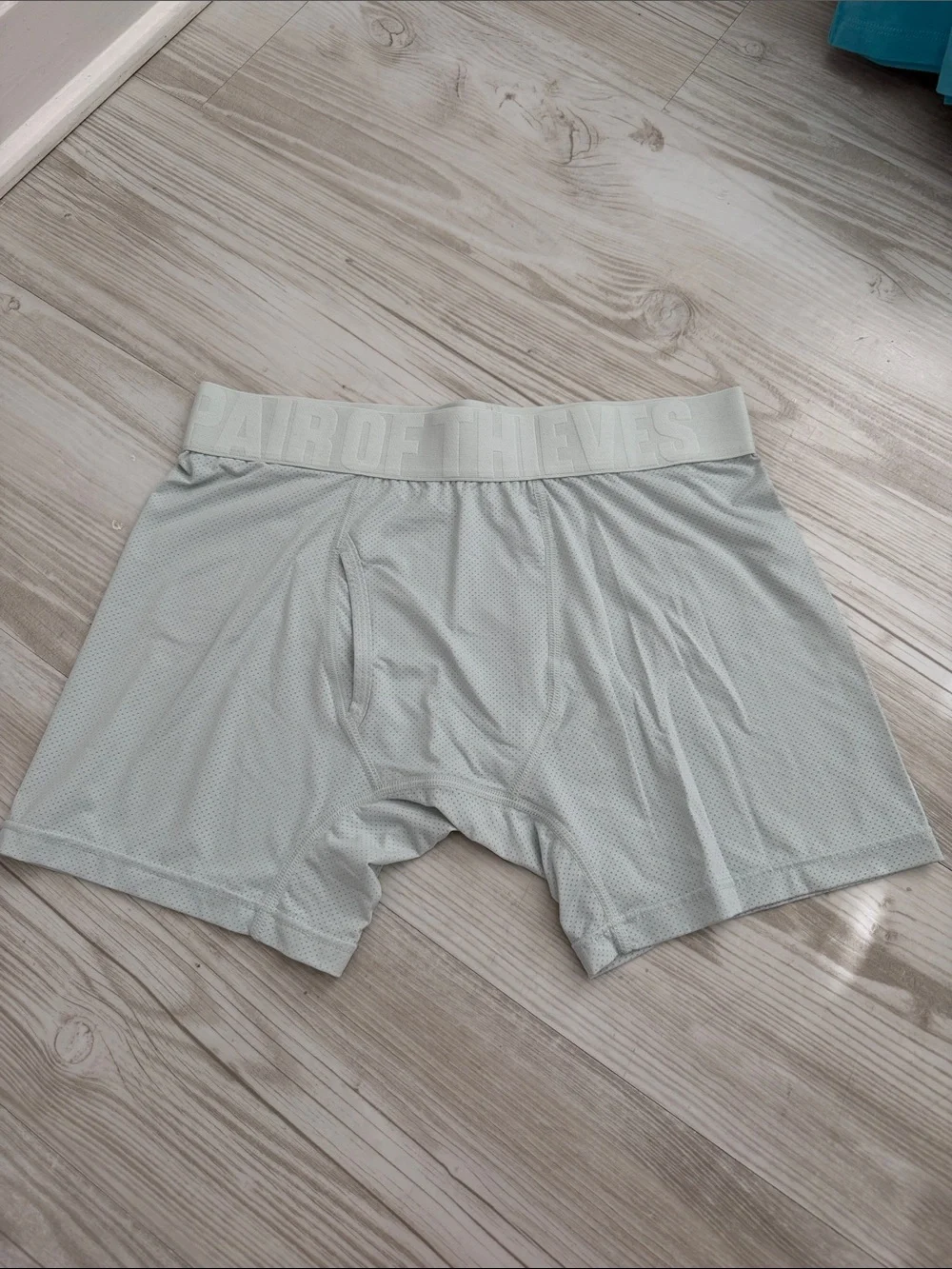 Pair of Thieves Men's Light Seafoam Performance Boxer Briefs